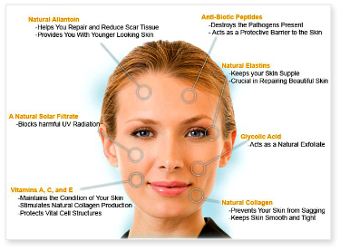 Anti-Aging Treatment Fact Sheet: Best Anti-Aging Skin Care Ingredients